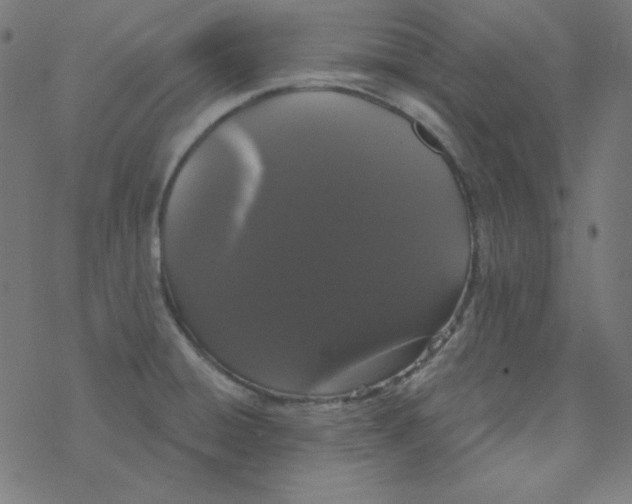 X0000077371428200611031900