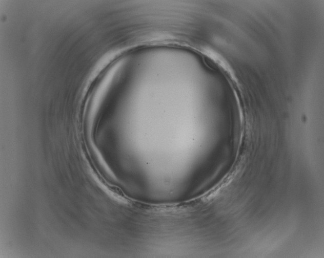 X0000077371429200611031900