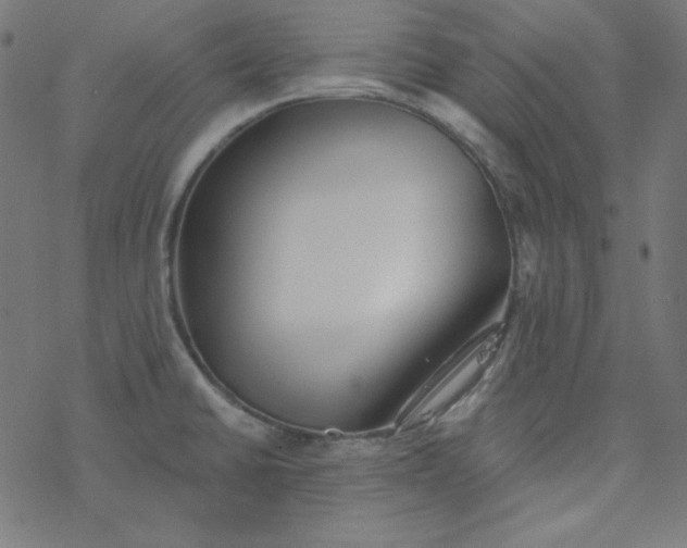 X0000077371430200611031900