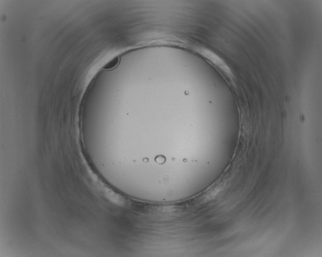 X0000077371431200611031900