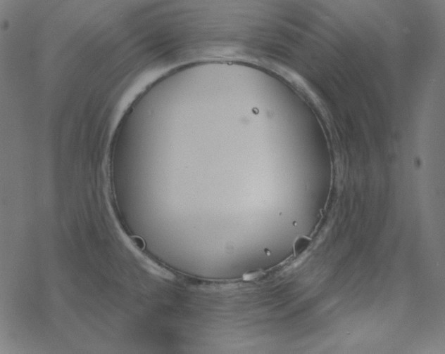 X0000077371432200611031900