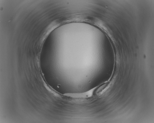 X0000077371433200611031900