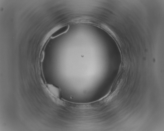 X0000077371434200611031900