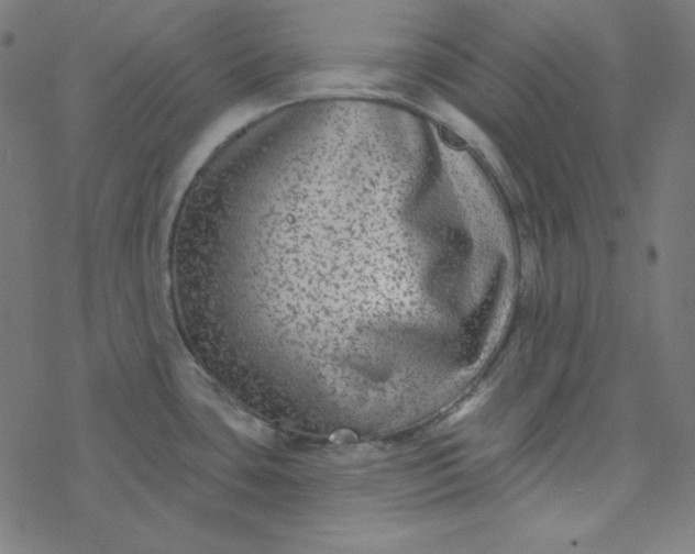 X0000077371435200611031900