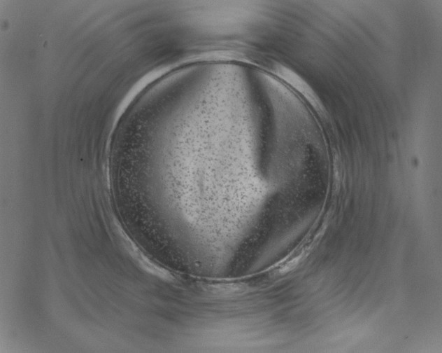 X0000077371436200611031900