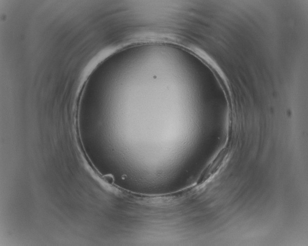 X0000077371437200611031900