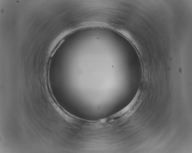 X0000077371438200611031900