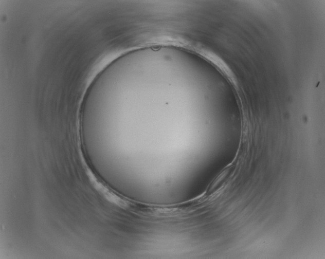 X0000077371439200611031900