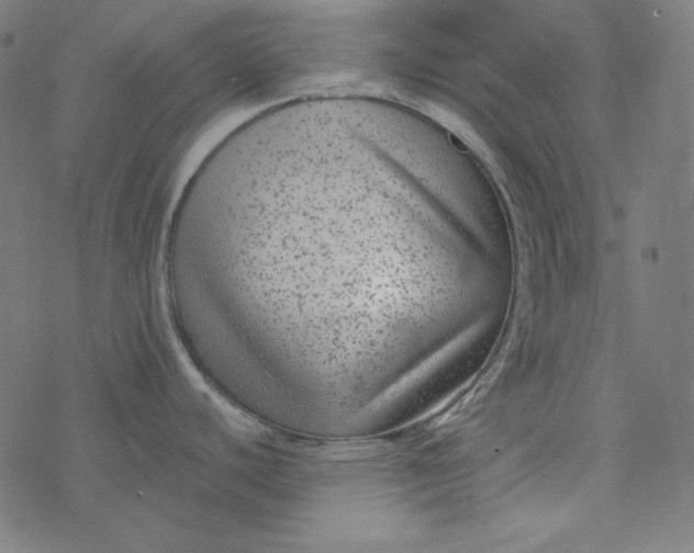 X0000077371440200611031900