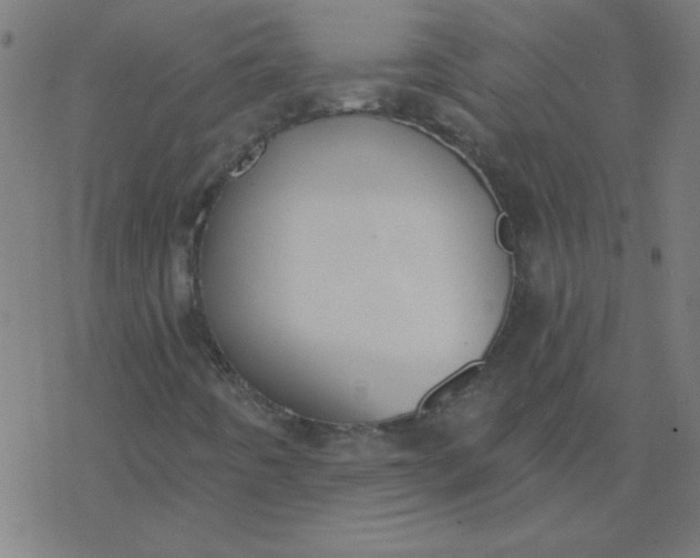 X0000077371442200611031859