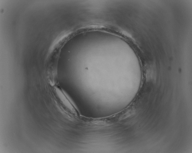 X0000077371448200611031859