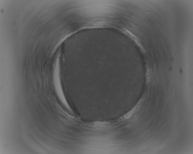 X0000077371449200611031859