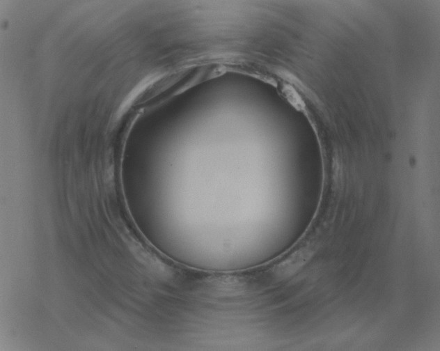 X0000077371450200611031859