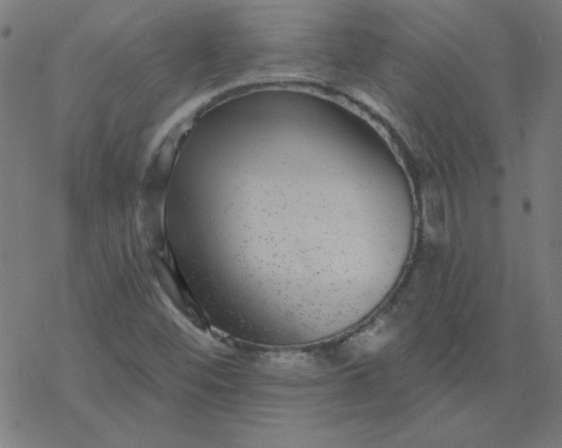 X0000077371452200611031859