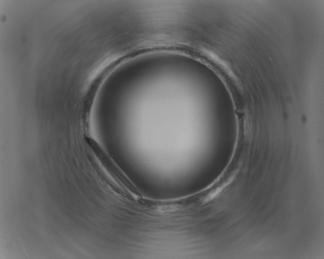 X0000077371453200611031859