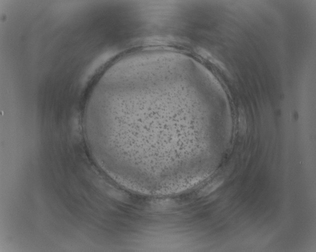 X0000077371454200611031859