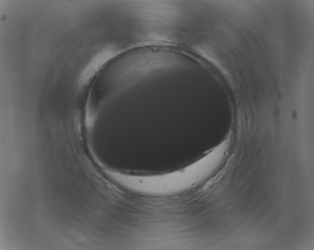 X0000077371455200611031859