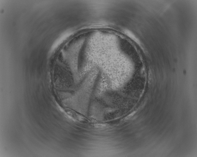 X0000077371456200611031859