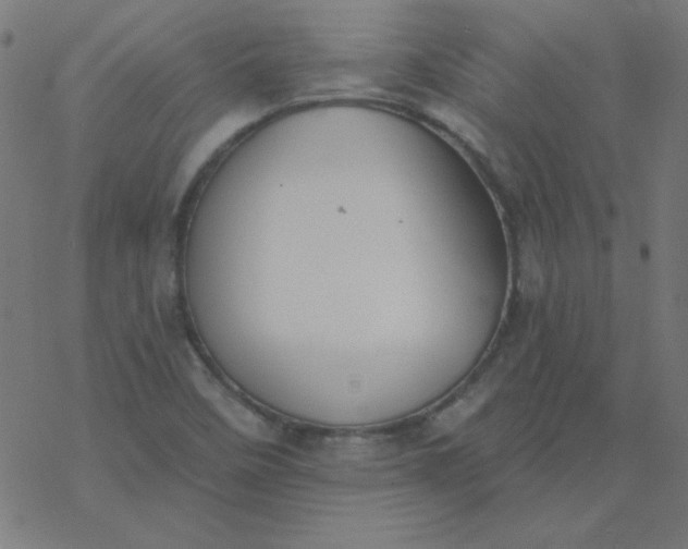 X0000077371458200611031859