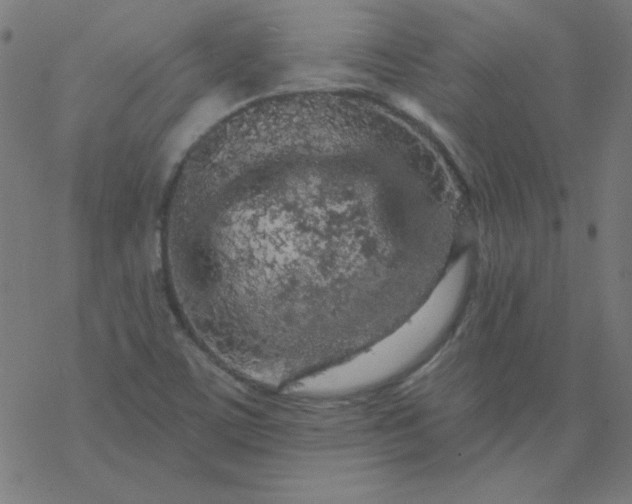 X0000077371459200611031859