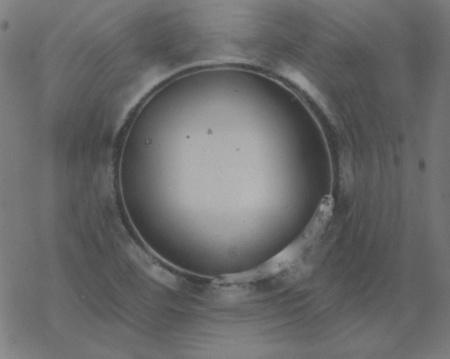 X0000077371460200611031859