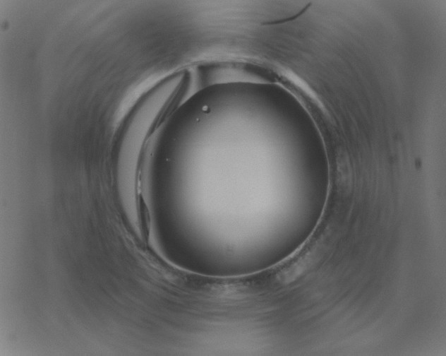 X0000077371461200611031859