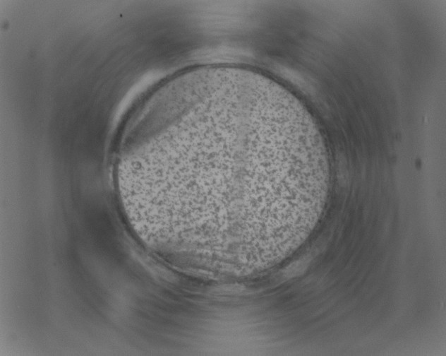 X0000077371462200611031859