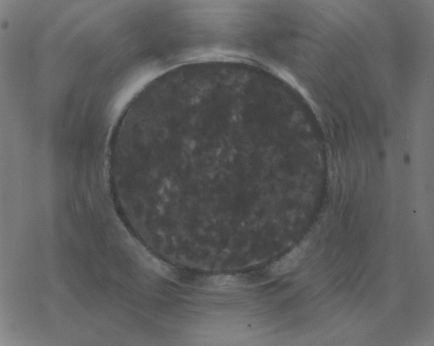 X0000077371463200611031859