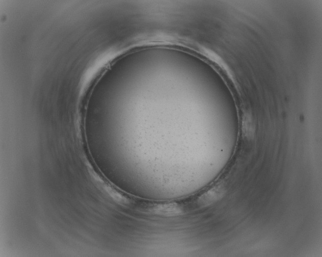 X0000077371464200611031859