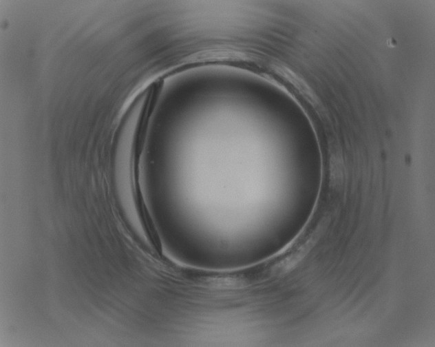 X0000077371465200611031859