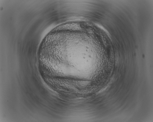 X0000077371467200611031859