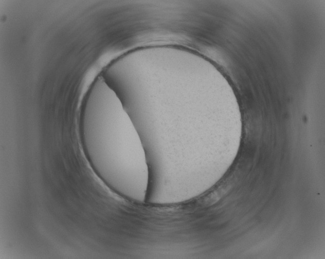 X0000077371472200611031859