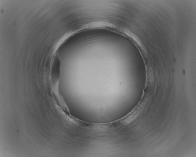 X0000077371473200611031859