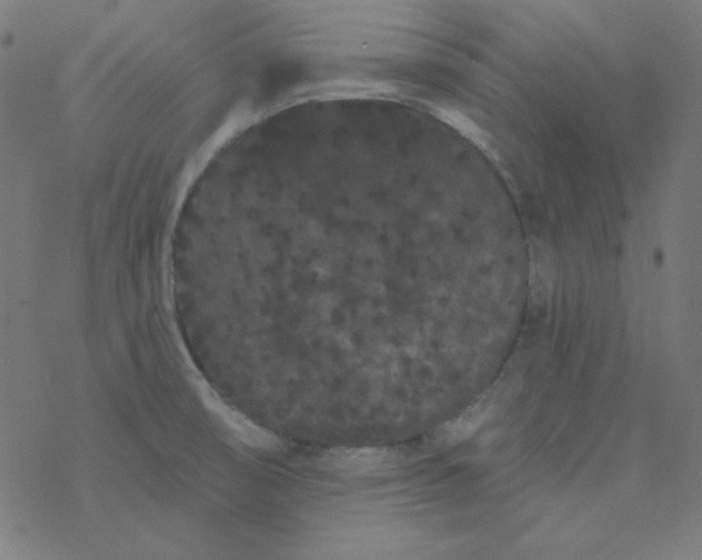 X0000077371474200611031859