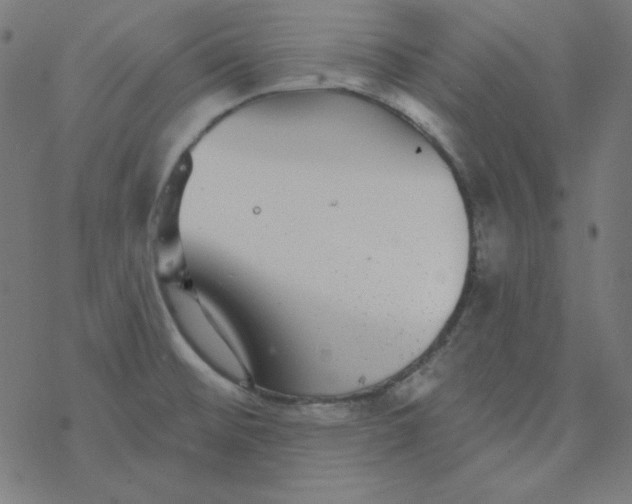 X0000077371476200611031859