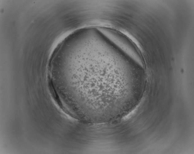 X0000077371477200611031859