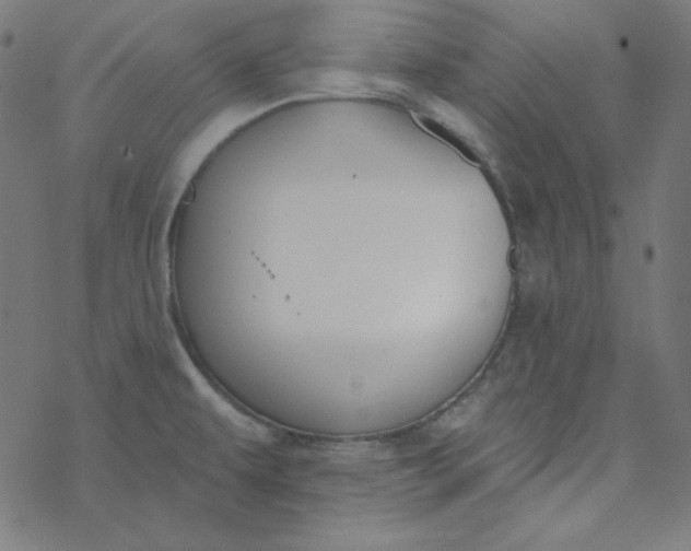 X0000077371479200611031859