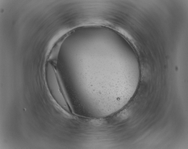 X0000077371480200611031859