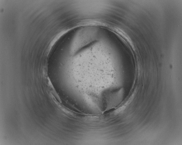 X0000077371481200611031859