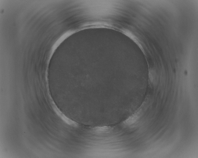 X0000077371482200611031859