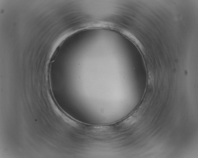 X0000077371483200611031859