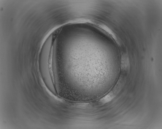 X0000077371484200611031859