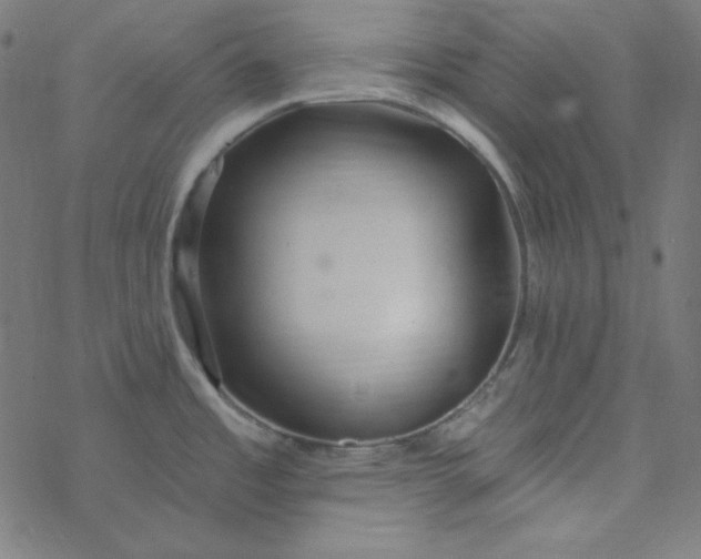 X0000077371485200611031859