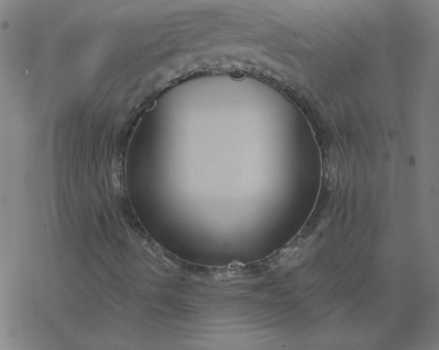 X0000077371490200611031858