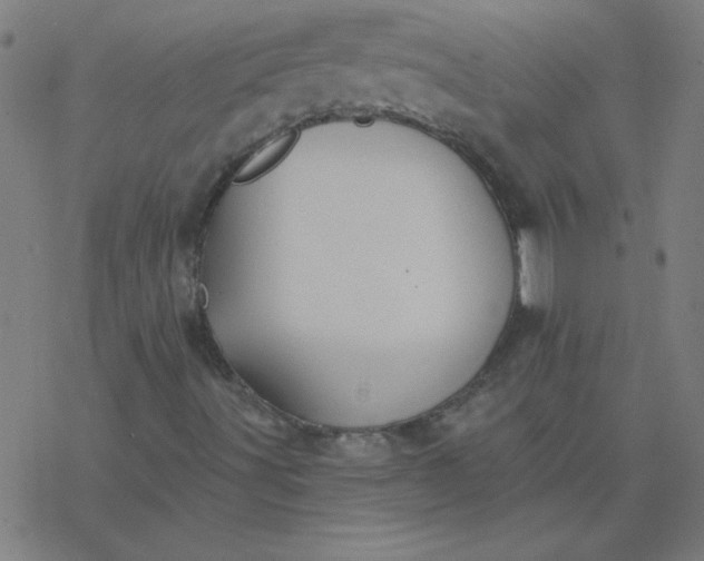 X0000077371491200611031858