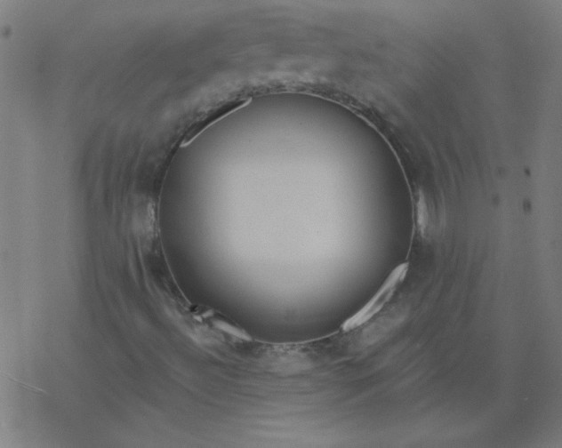 X0000077371492200611031858