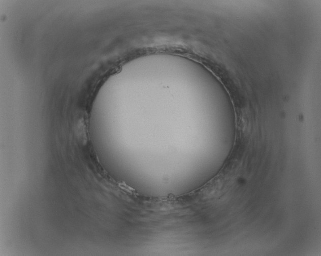 X0000077371493200611031858