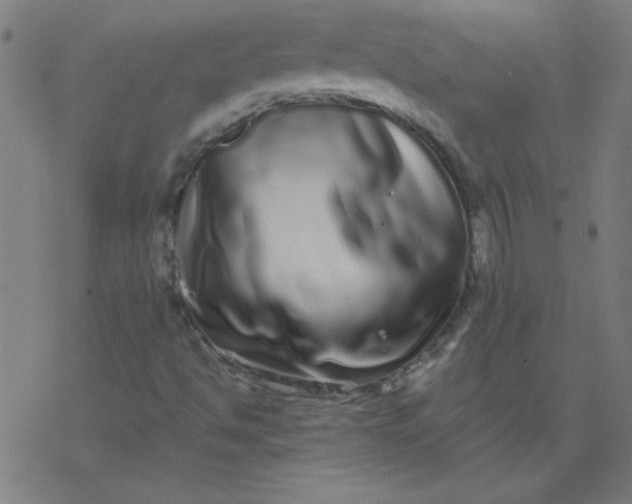 X0000077371494200611031858