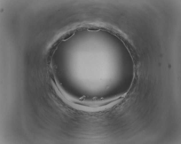 X0000077371496200611031858