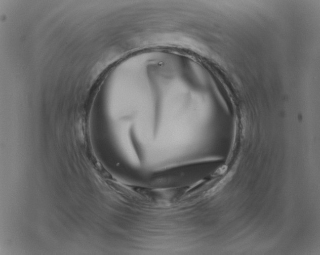 X0000077371497200611031858